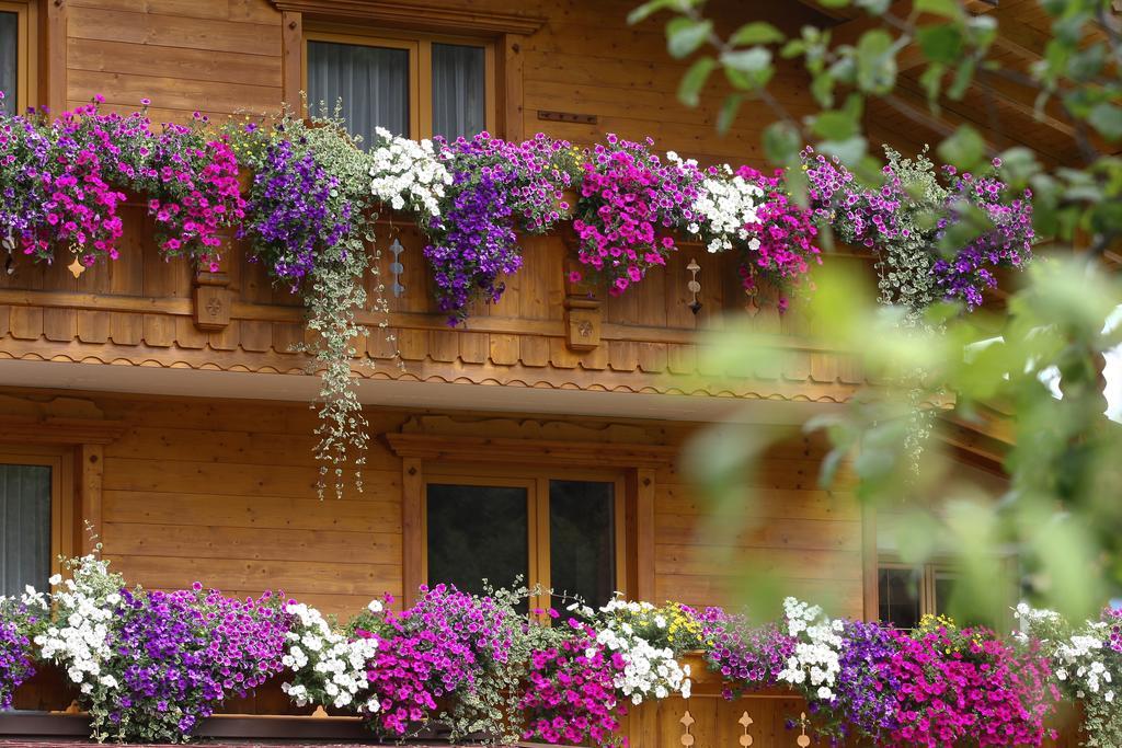 Alpenecho Apartment Neustift im Stubaital Exterior photo